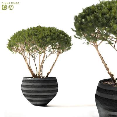 现代绿植摆件-01